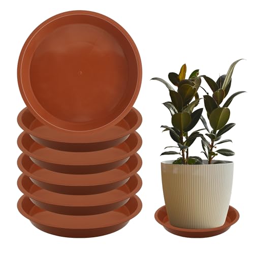 Terracotta