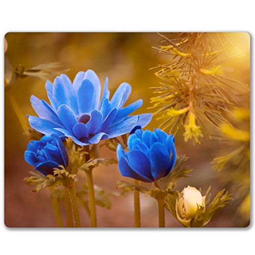 Blue flower