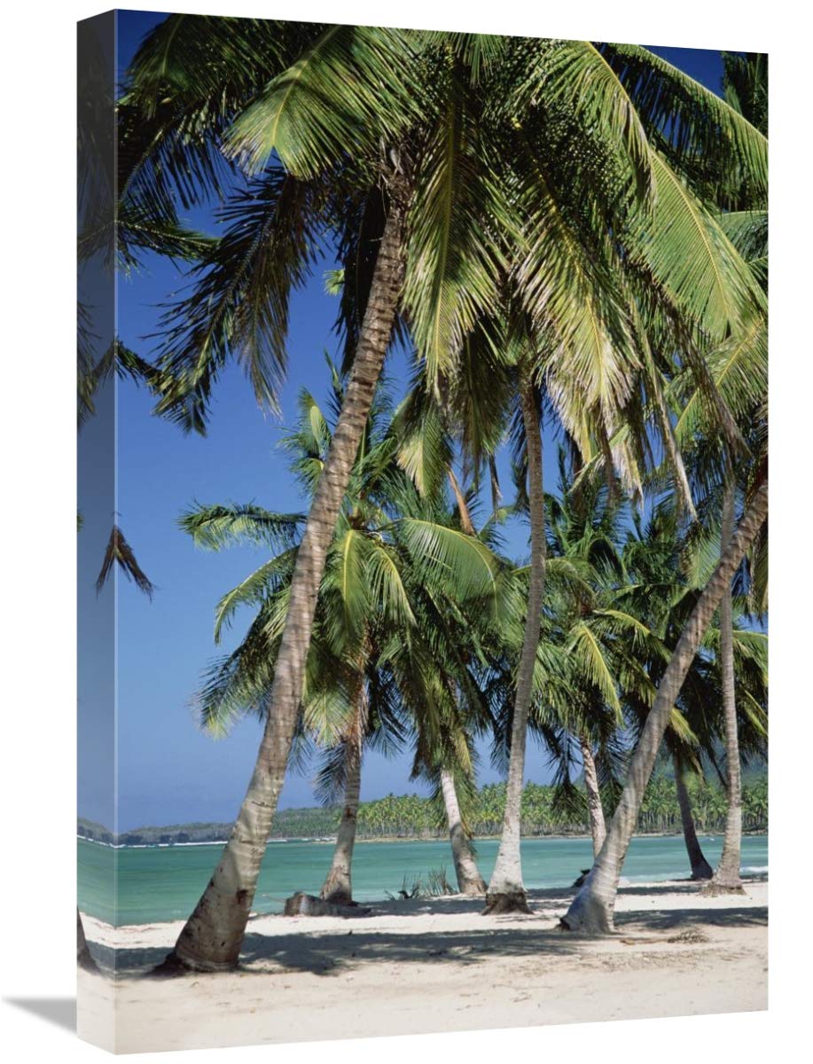 16x24 Inch Tropical Coconut Palm Trees & Beach Art Print - Dominican Republic Landscape by Konrad Wothe | Perfect for Beach House Decor, Living Room Wall Art & Coastal Theme Bedroom