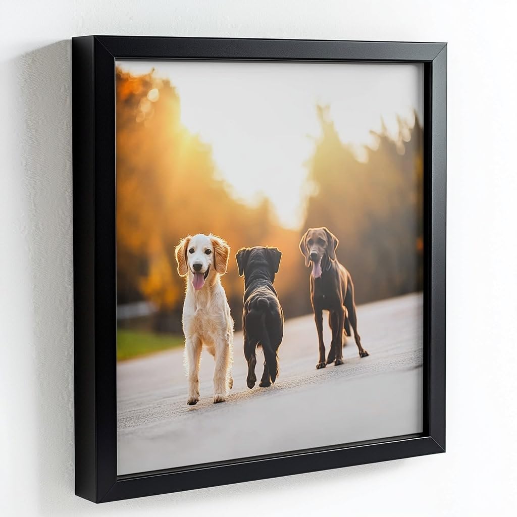 26x23 Black Picture Frames - Solid Pine Wood Poster Frame with Polished Glass Front & Clear Plexiglass Back - Ready to Hang Photo Frame for Wall Decor - Includes Hanging Hardware - Perfect for Living Room, Bedroom, Office & Gallery Display (26 x 23 Inches)