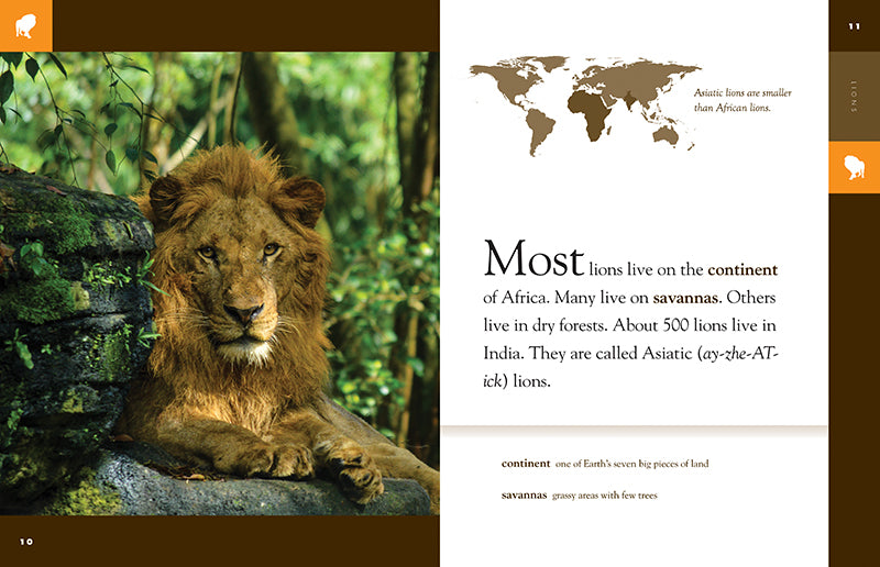 Lions Book 9781640262066 - Wildlife Animal Encyclopedia for Kids & Adults - Perfect for Education, Gifts, and Nature Lovers
