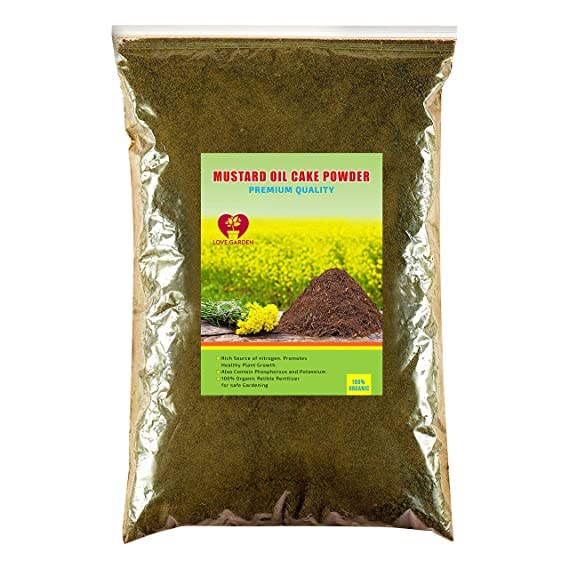 HERBALIFE Nutrition Dutch Chocolate Protein Powder Shake Mix - 400g | High Protein Meal Replacement for Weight Loss & Muscle Gain | Perfect for Post-Workout Recovery & Healthy Breakfast Smoothies