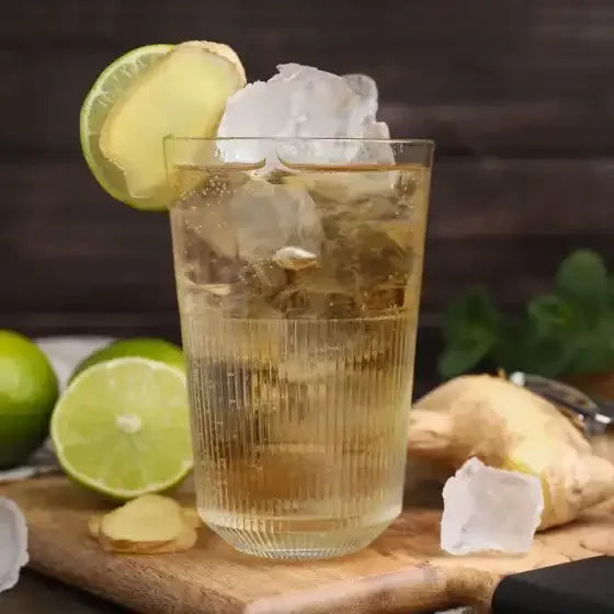 Asahi Wilkinson Dry Ginger Ale 500ml (6-Pack) - Refreshing Non-Alcoholic Ginger Beer for Cocktails, Mocktails & Digestive Aid - Perfect for Parties, BBQs & Relaxation
