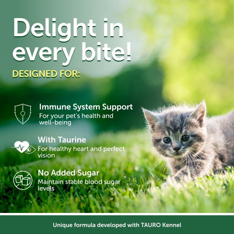 Premium Kitten Wet Food with Tuna & Sea Bass - Grain-Free, All Life Stages Cat Food - 24 Pack Cans - Perfect for Weaning Kittens & Adult Cats