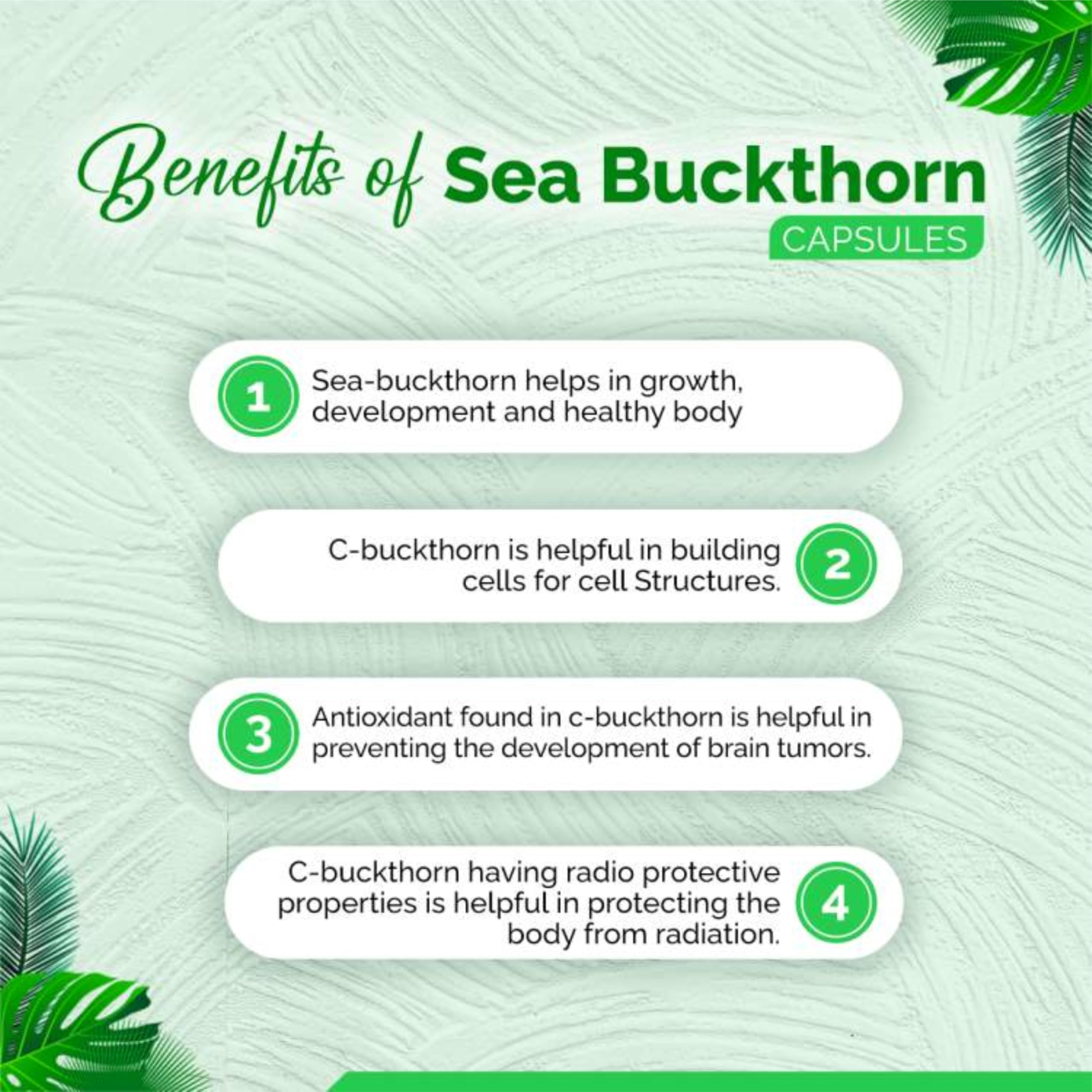 Organic Himalayan Sea Buckthorn Berries | 100g | Dried Superfood | Rich in Fiber, Omega Fatty Acids & Vitamin C | Perfect for Smoothies, Teas & Healthy Snacks