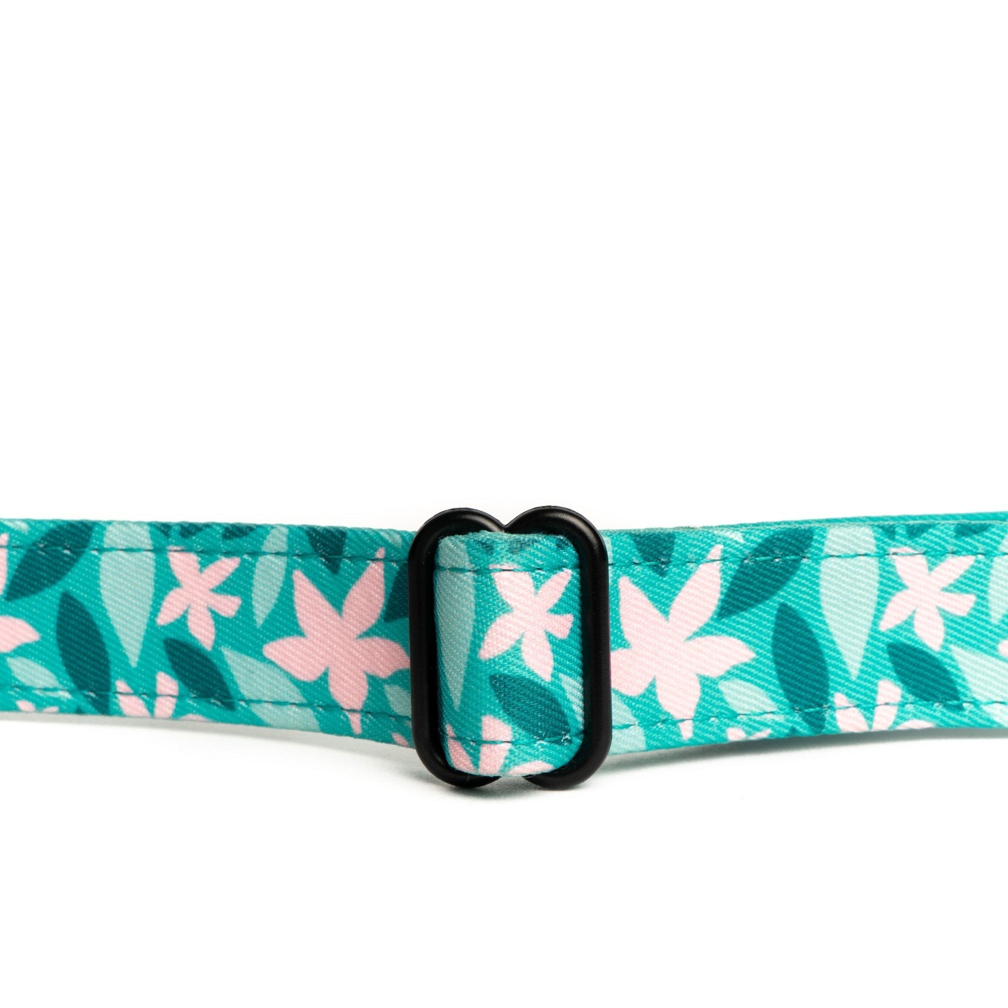 Lucy & Co. Dilly Lily Adjustable Dog Collar with Buckle - Blue & Pink Stripes for Small to Medium Dogs | Perfect for Daily Walks, Training & Fashion Accessories
