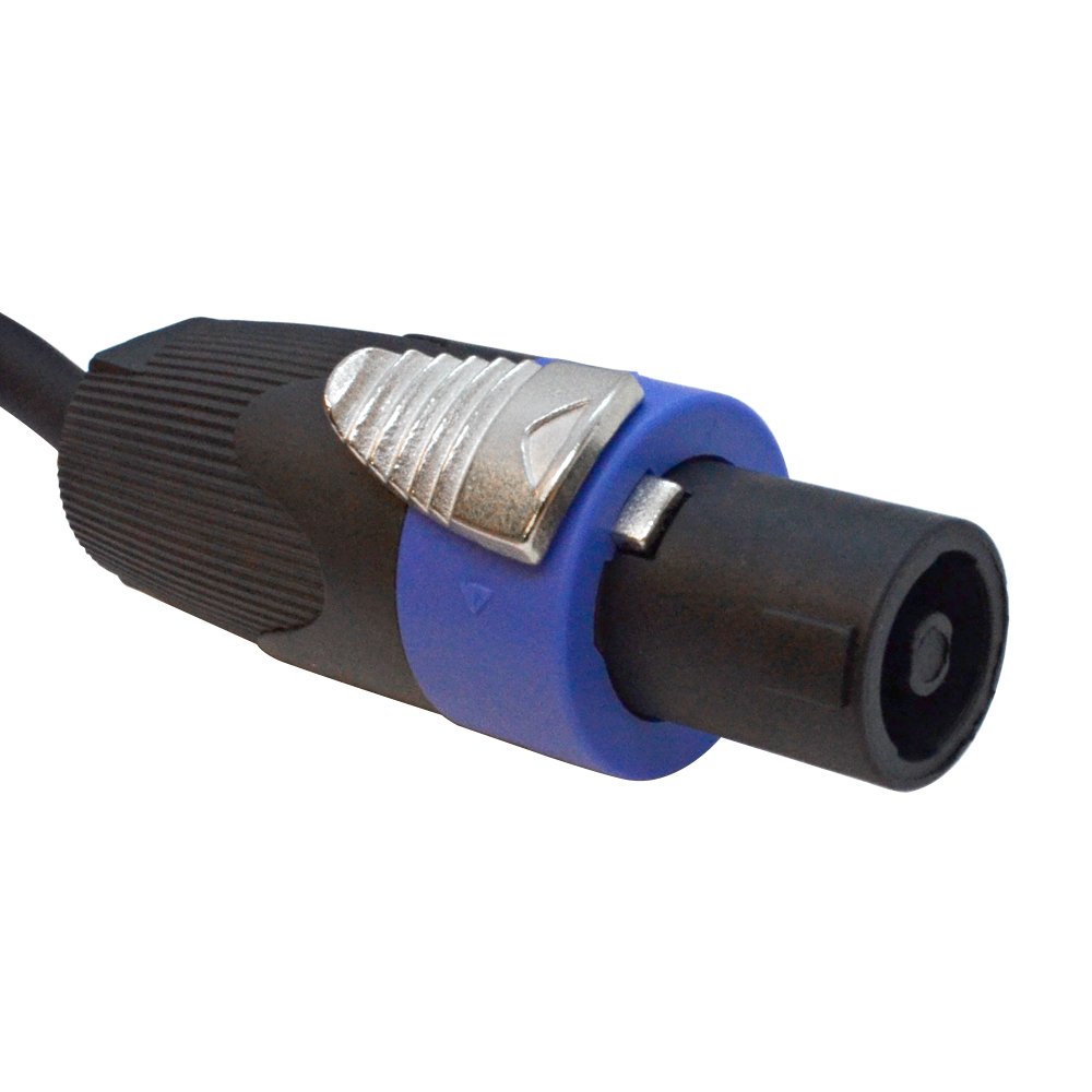 Seismic Audio SA16SQ10 10ft Speakon to 1/4 Inch TS Speaker Cable - 16 AWG Oxygen-Free Copper Conductors, Professional Grade Audio Cable for PA Systems, DJ Equipment, and Live Sound Performances