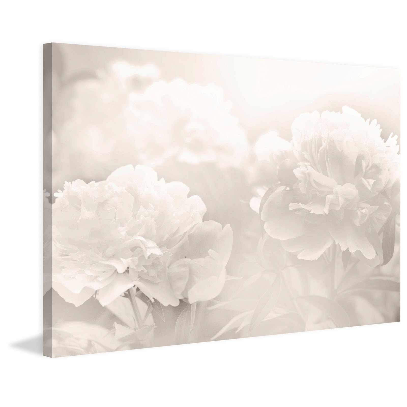 Premium Peony Floral Art Print on Wrapped Canvas - Handmade Wall Decor for Living Room, Bedroom & Office - Perfect Gift for Home Decor
