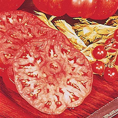 Beefmaster Hybrid Tomato Seeds - Non-GMO, Heirloom Variety (25+ Seeds) | Perfect for Home Vegetable Gardens, Fresh Salads & Healthy Eating | Seed King Express