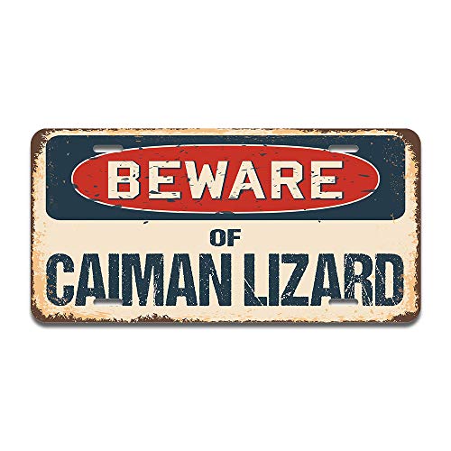 Beware of Caiman Lizard