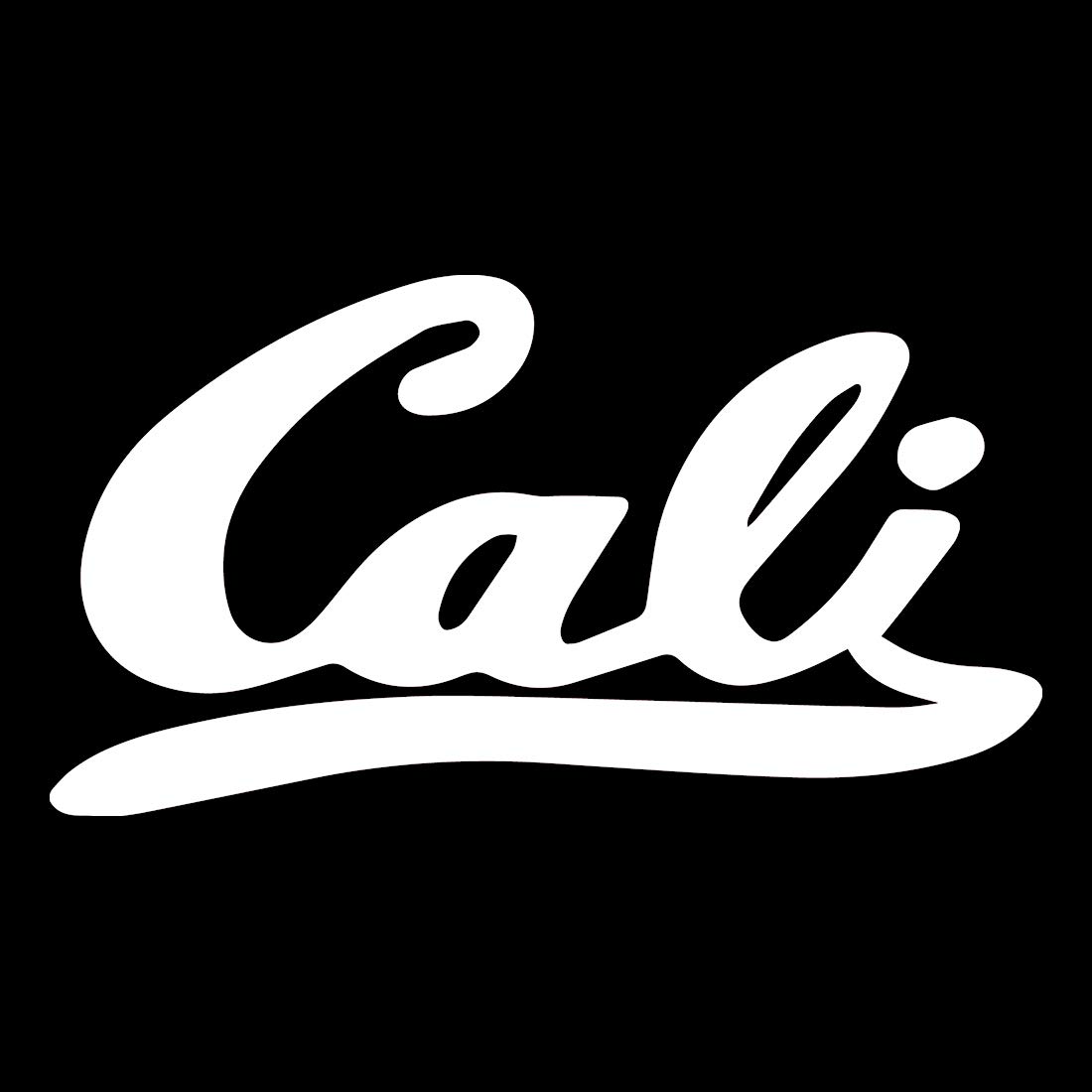 Premium Waterproof Vinyl Decal Stickers Set of 2 - California Republic White Design for Laptop, Phone, Helmet, Car, Wall & More | Durable Decorative Stickers for Home, Office & Outdoor Use