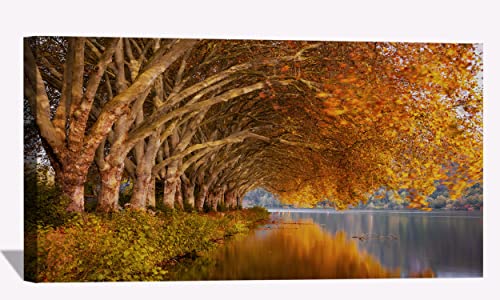 Autumn Trees Orange Lake