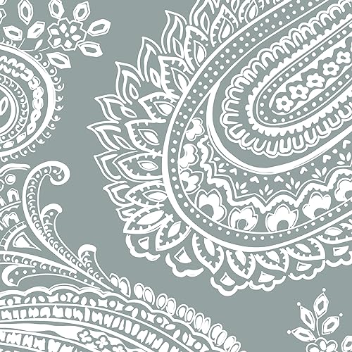 Cloud Gray Paisley