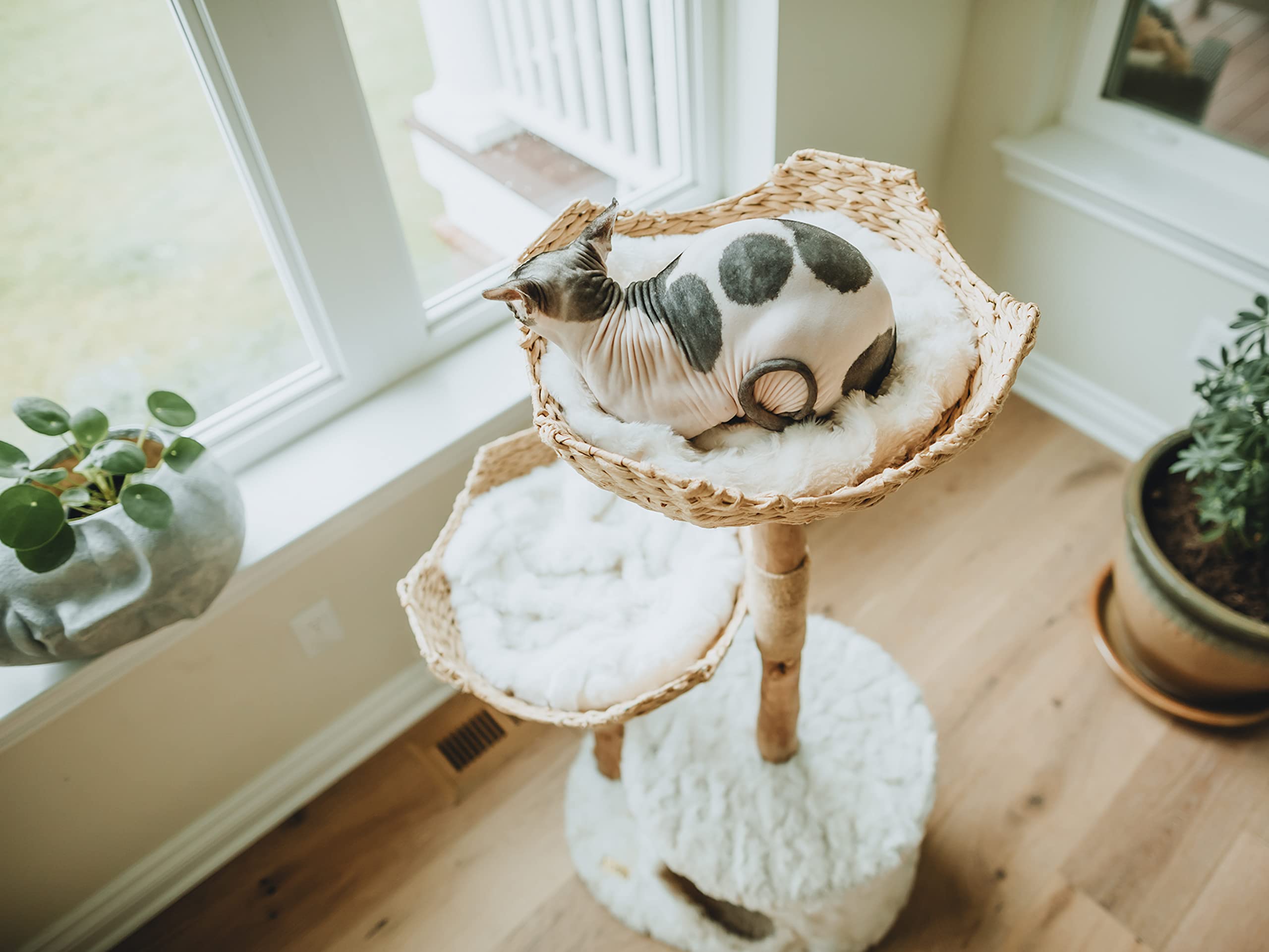 MAU Modern Cat Tree Tower for Large Cats - Real Wood Branch Luxury Cat Condo with Scratching Posts, Durable Cat Furniture for Indoor Cats | Perfect Cat Lover Gift & Playground for Kittens - Ideal for Home, Office, or Apartment Use