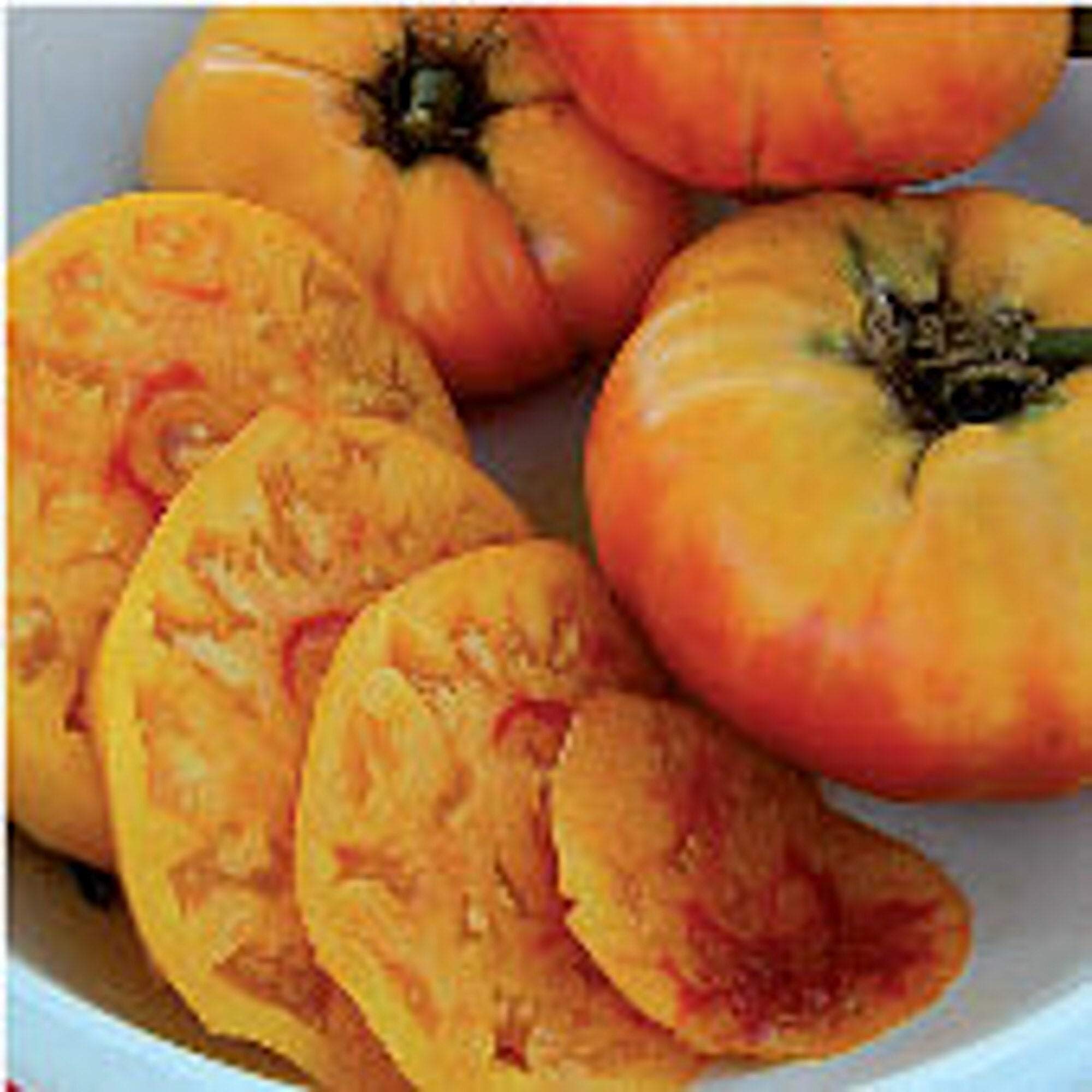 Gold Medal Tomato Seeds - Non-GMO Heirloom Variety (25+ Seeds) for Home Gardening, Vegetable Patches & Organic Farming | Seed King Express