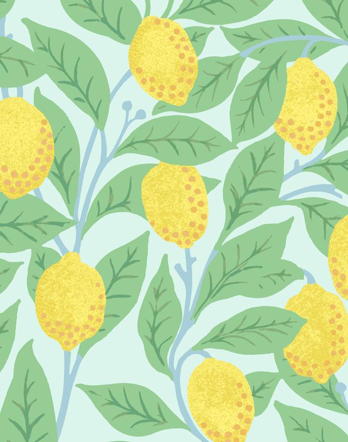 Nathan Turner Robins Egg Wallpaper - Premium Peel & Stick Removable Wallpaper for Kitchen, Bathroom, Nursery & Home Decor