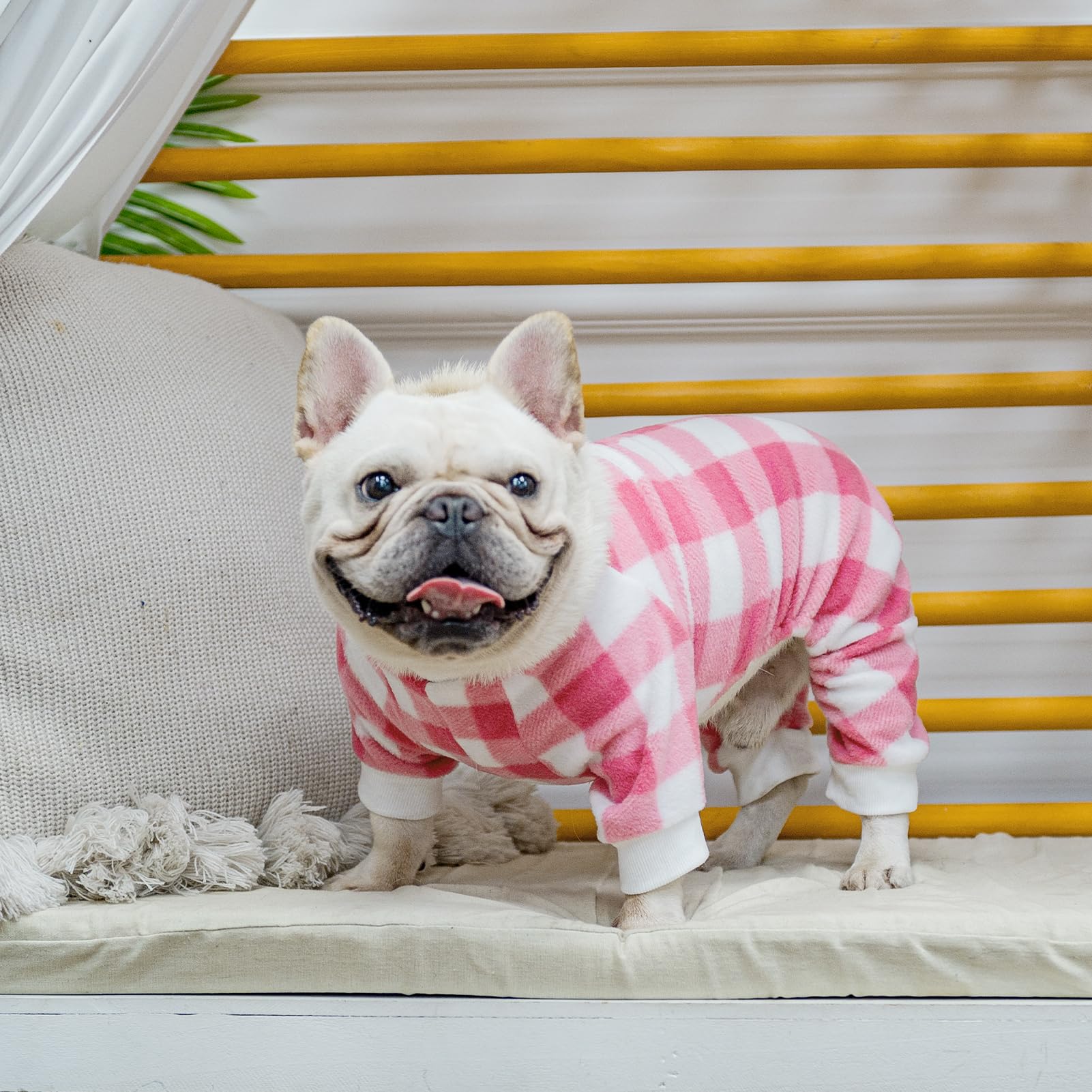 SCENEREAL Soft & Warm Dog Pajamas for Small to Large Dogs - Cozy Pet Sweater Onesie Outfits for Winter & Christmas - Perfect for Indoor Sleeping, Lounging & Holiday Photos