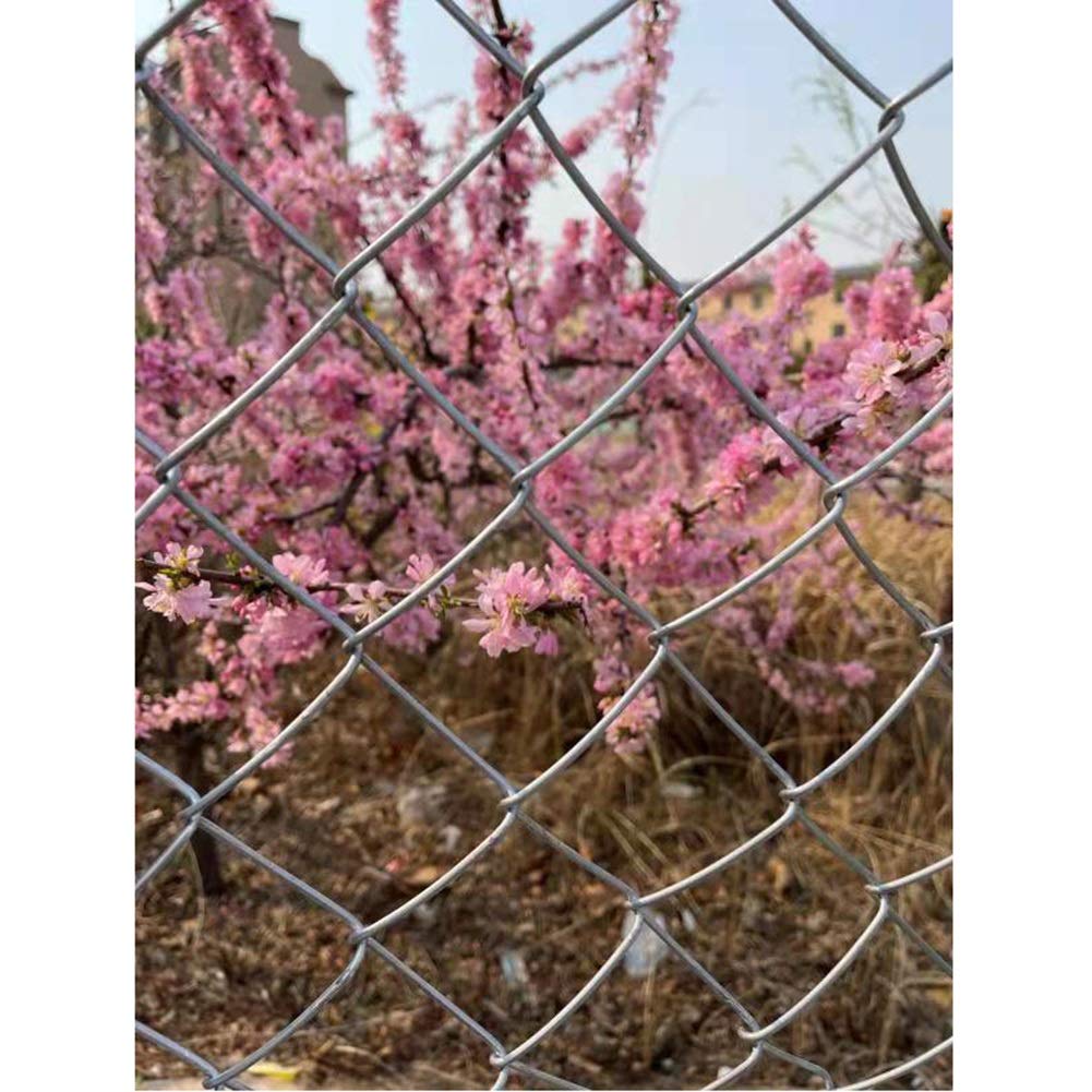 Galvanized Chicken Wire Mesh Fence 2mm Diameter - 1.2x30m Poultry Netting for Chicken Coop, Rabbit Hutch, Dog & Cat Enclosure, Vegetable Garden Protection (Silver) - Durable Outdoor Animal Fencing Solution