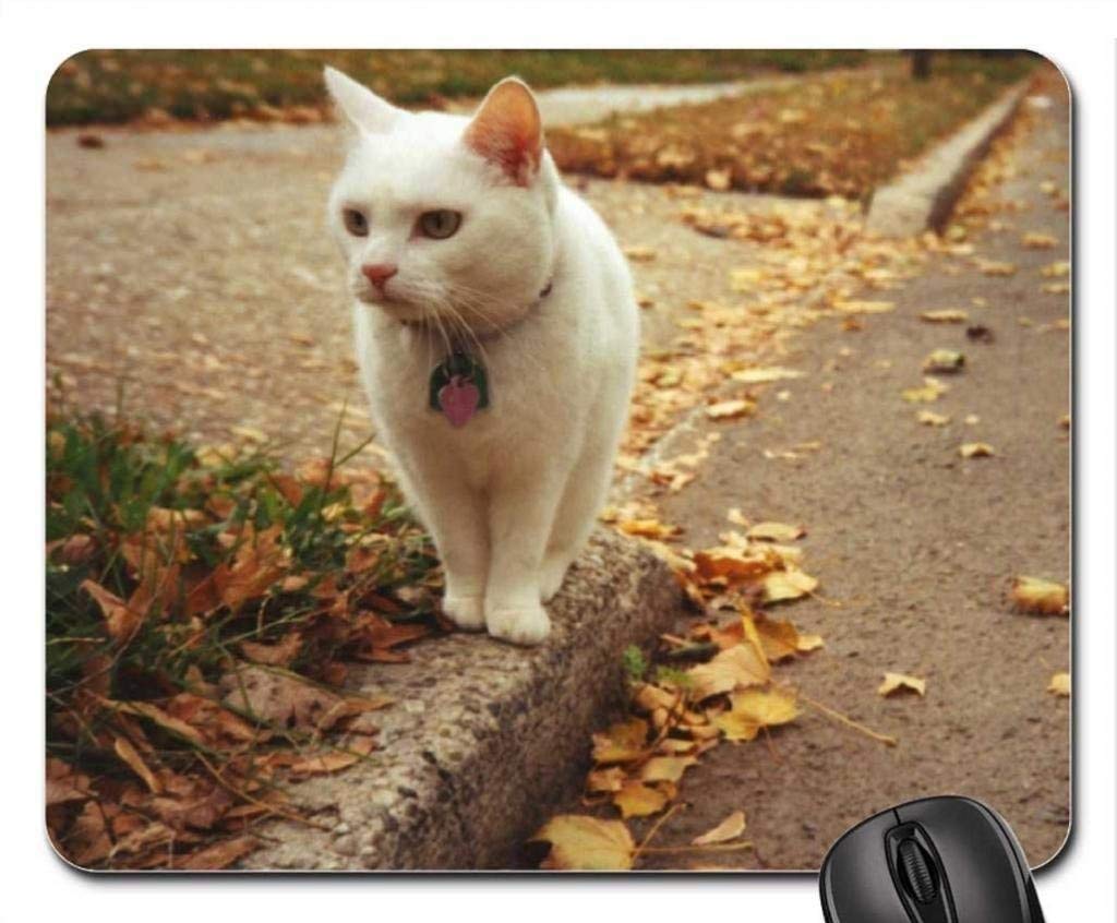 Cute White Cat Mouse Pad - Non-Slip Gaming Mousepad with Ergonomic Design for Office, Home & PC Computer Use
