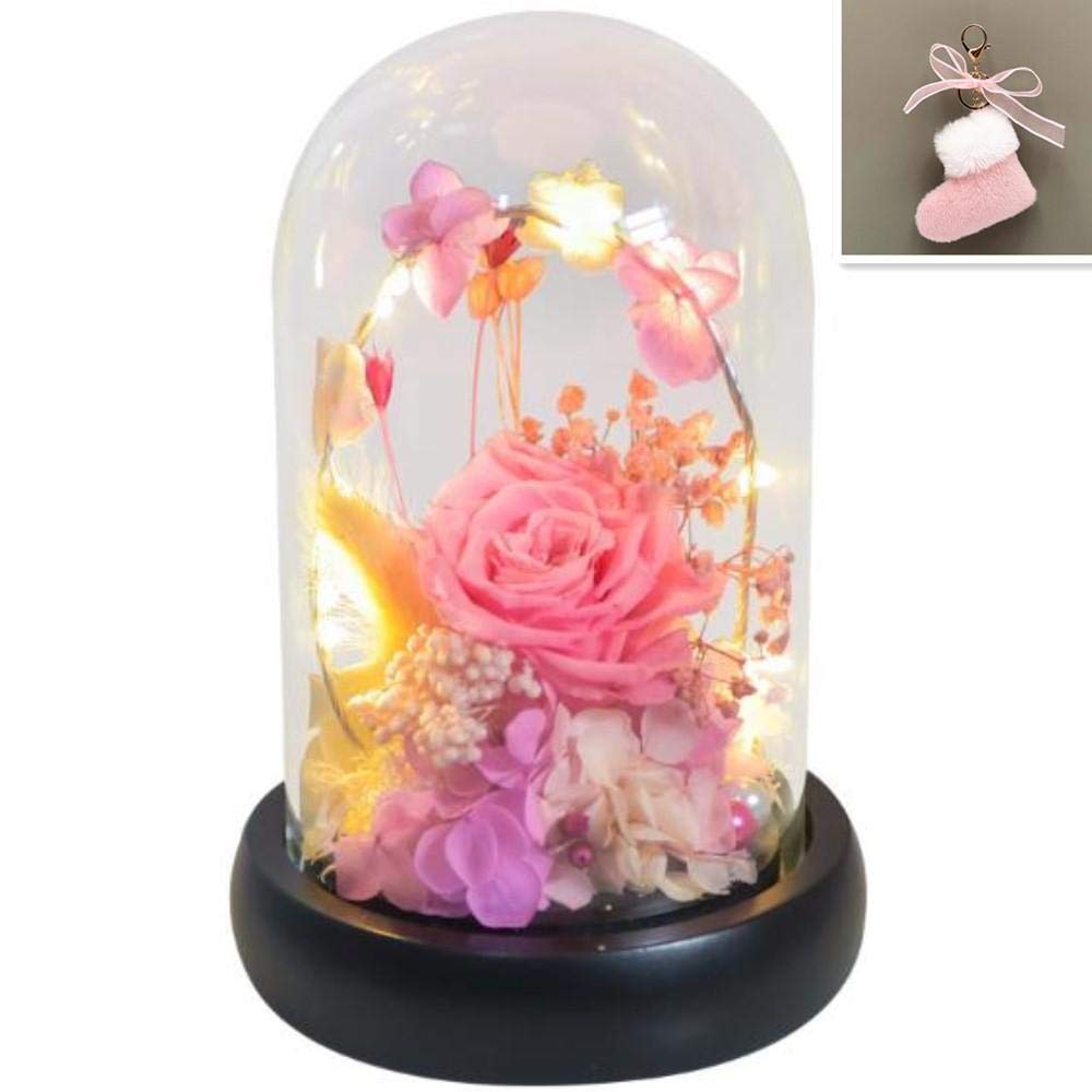 certainPL Rose Glass Dome with Beauty and The Beast Red Silk Rose & LED Light on Wooden Base - Perfect for Mother's Day, Wedding, Birthday Party & Club Decorations | Elegant Home & Event Centerpiece Gift