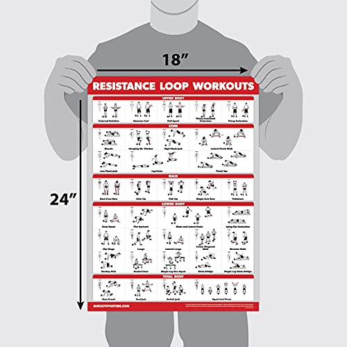 QUICKFIT 2 Pack Resistance Bands & Loops Set with Laminated Workout Posters (18