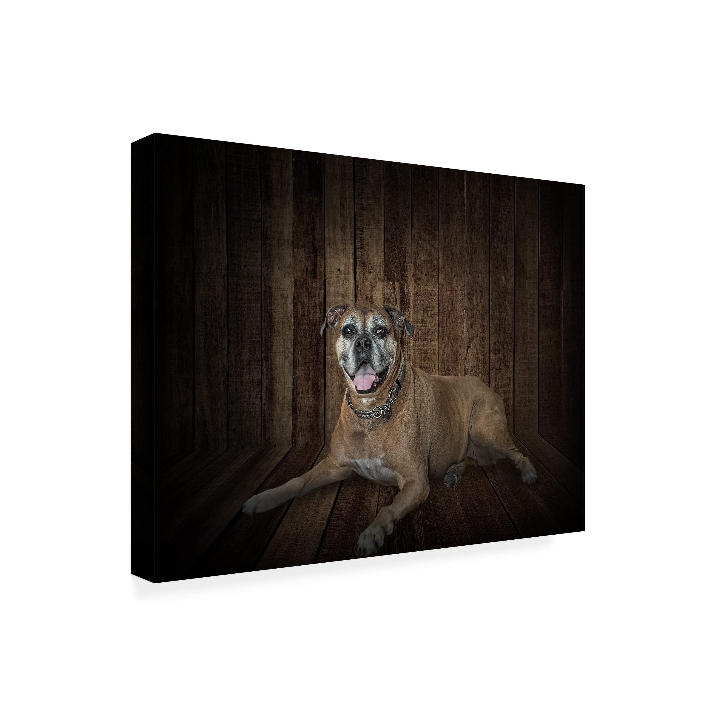 Trademark Fine Art 'Madison' Canvas Wall Art by Lori Hutchison - Elegant Home Decor for Living Room, Bedroom & Office