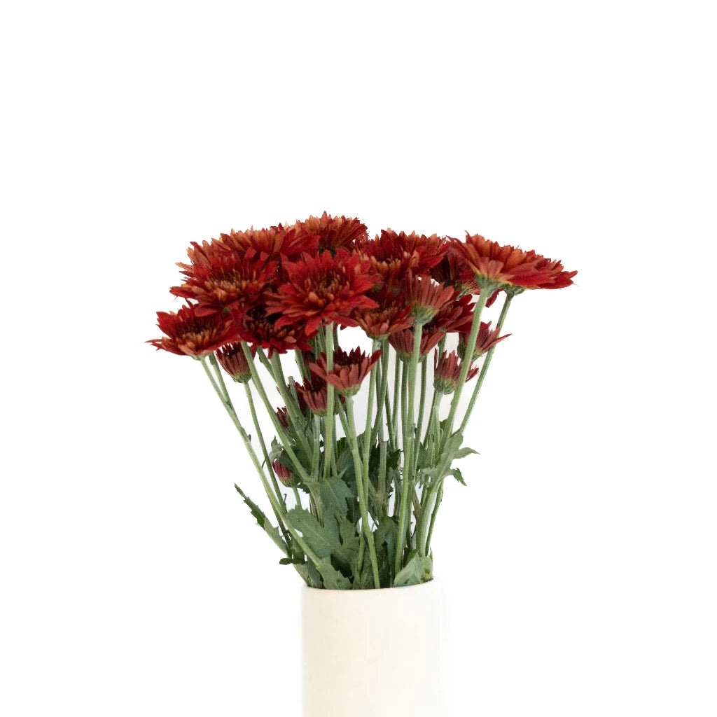 Brick Red Cushion Flower - Soft Decorative Pillow for Sofa, Bed & Home Decor | Perfect for Living Room, Bedroom & Nursery