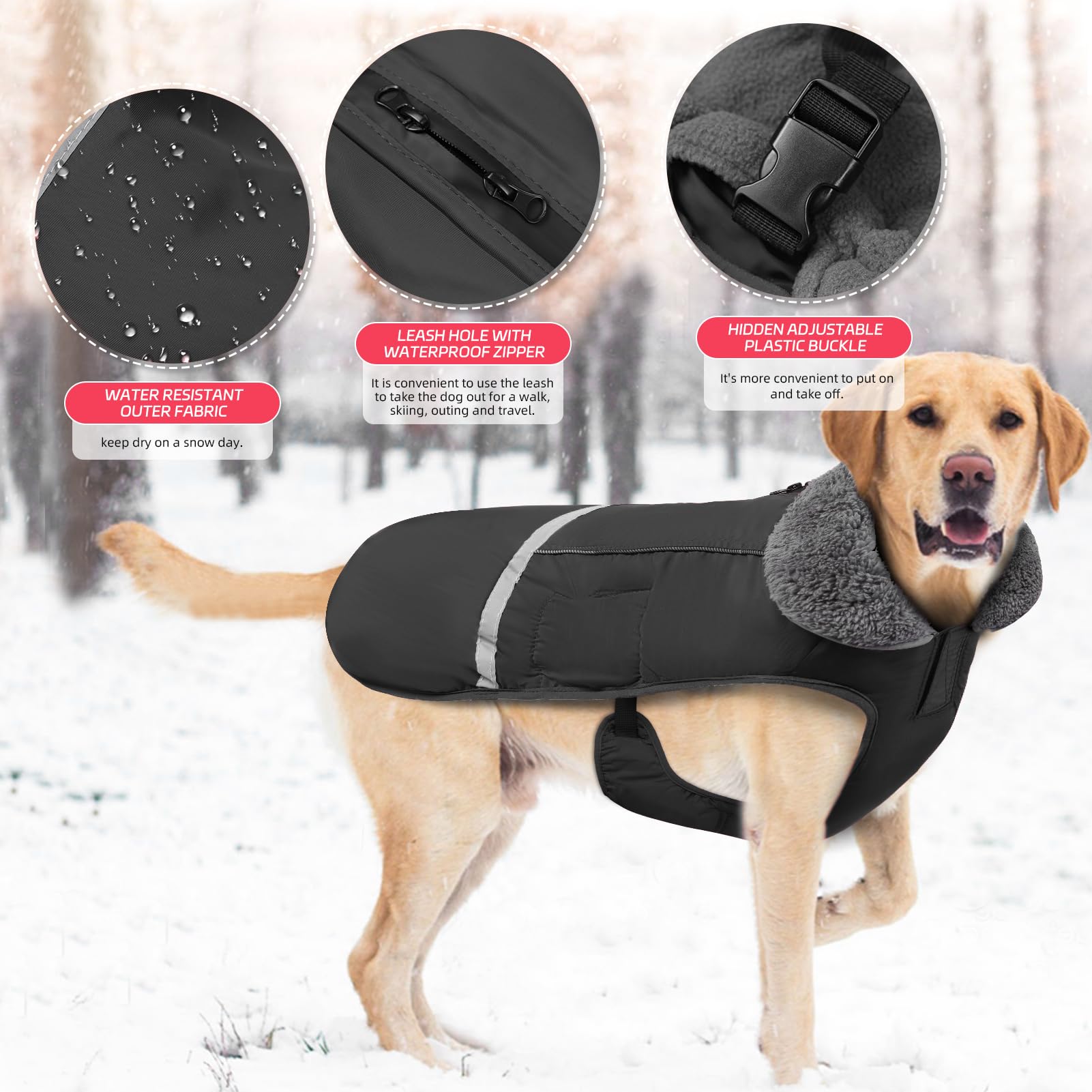 Doglay Waterproof Dog Winter Coat - Thick Fleece Lining & Reflective Design for Small Medium Large Dogs | Cold Weather Protection for Walking, Hiking & Outdoor Adventures