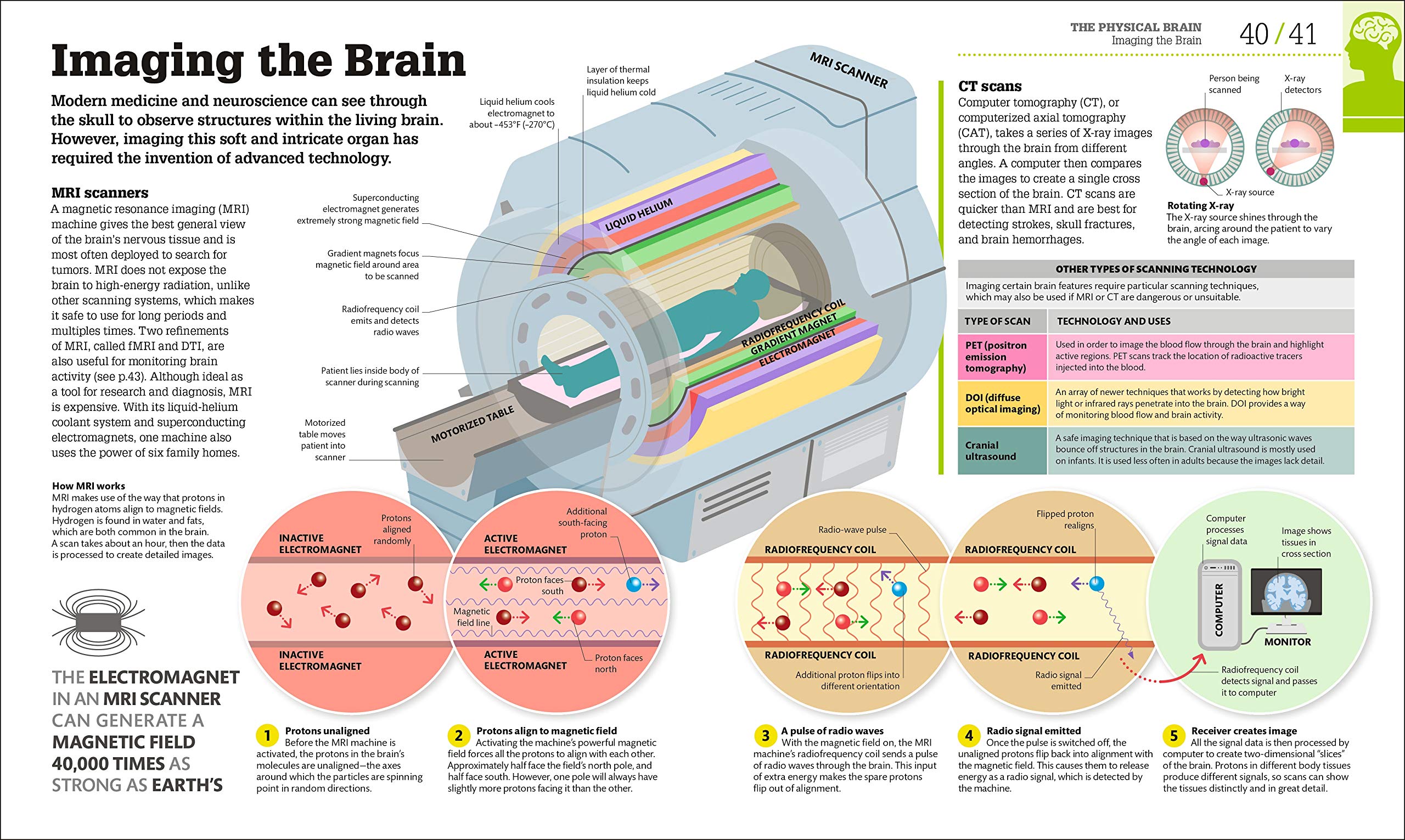 How the Brain Works: The Facts Visually Explained - DK How Stuff Works | Neuroscience Book for Students & Educators | Perfect for Learning & Teaching Human Anatomy