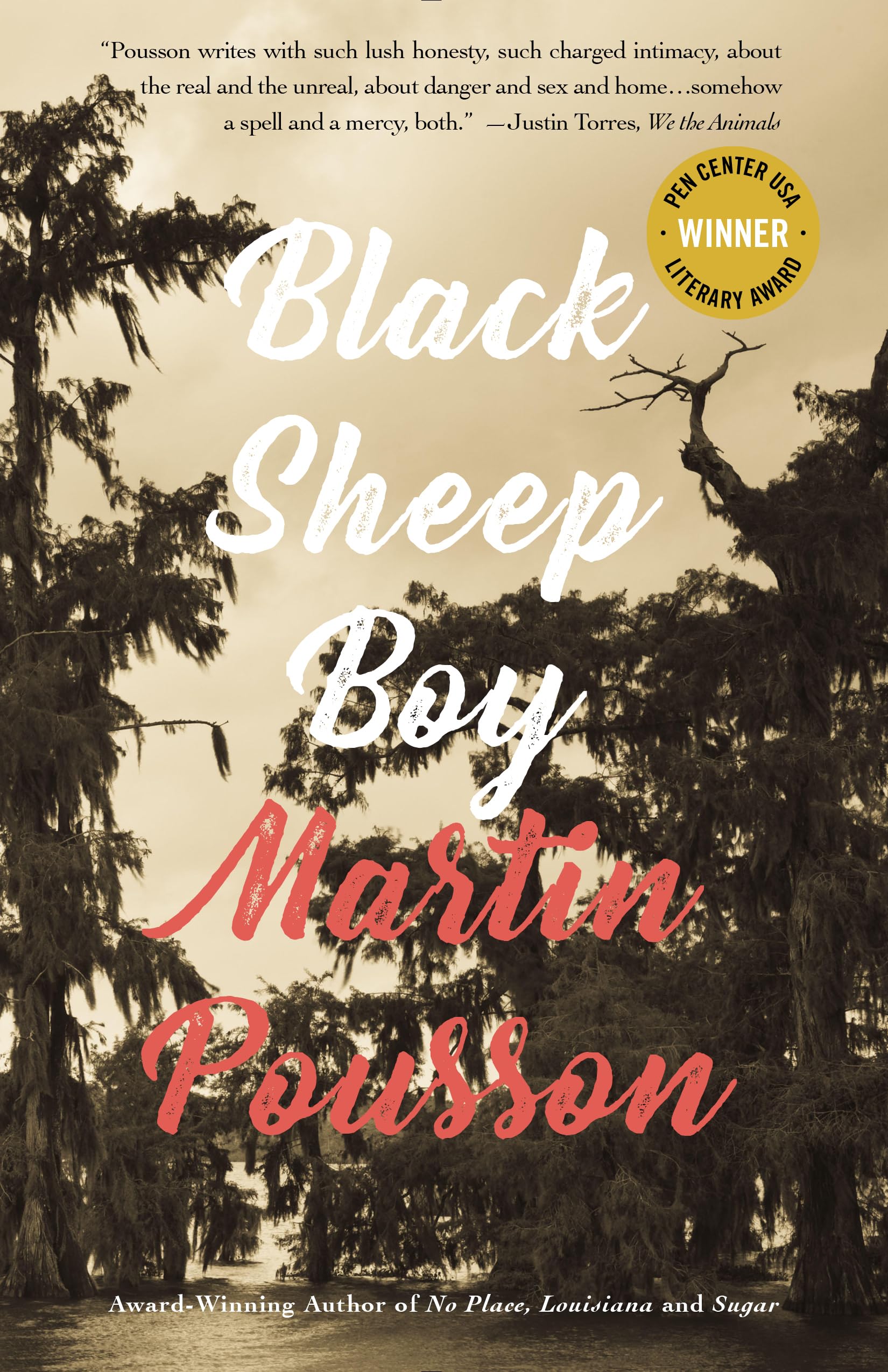 Black Sheep Boy: A Novel in Stories - Contemporary Fiction Book for Young Adults | Perfect for Book Clubs, Gifts & Literary Enthusiasts