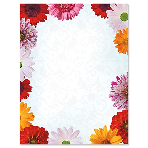 Daisies