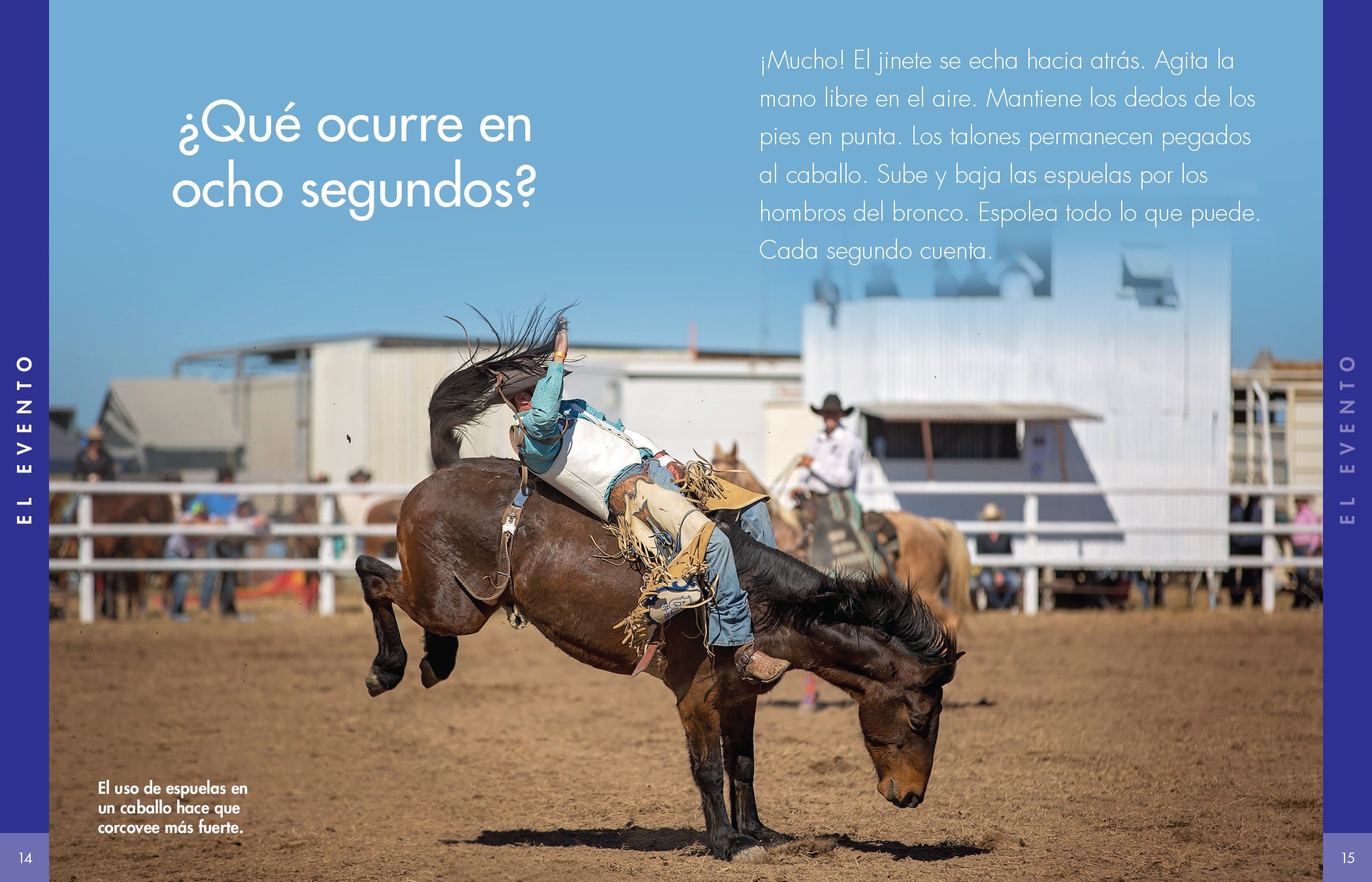 Bareback Horse Riding Essentials - Comfortable & Safe Riding Gear for Equestrians | Perfect for Trail Riding & Training