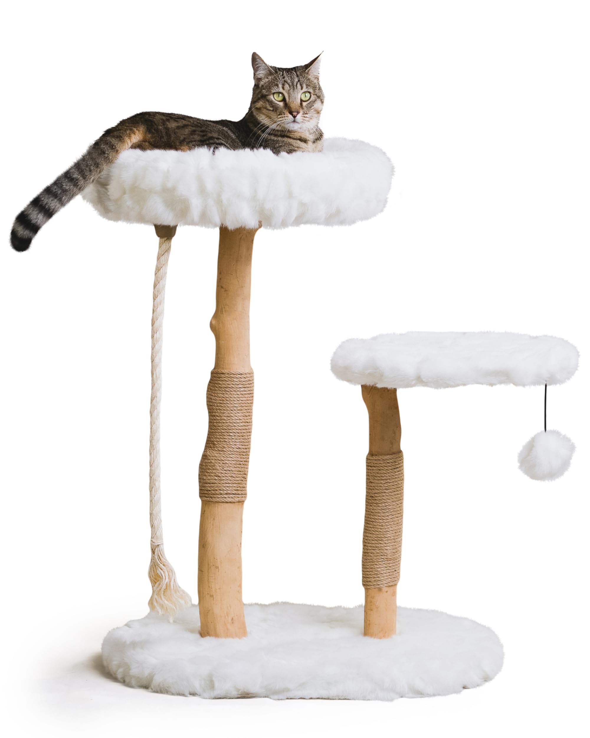 Luxury Modern Cat Tree & Wood Cat Tower - Natural Branch Scratching Post & Cat Condo | Premium Cat Furniture for Indoor Cats | Perfect for Apartments & Home Decor