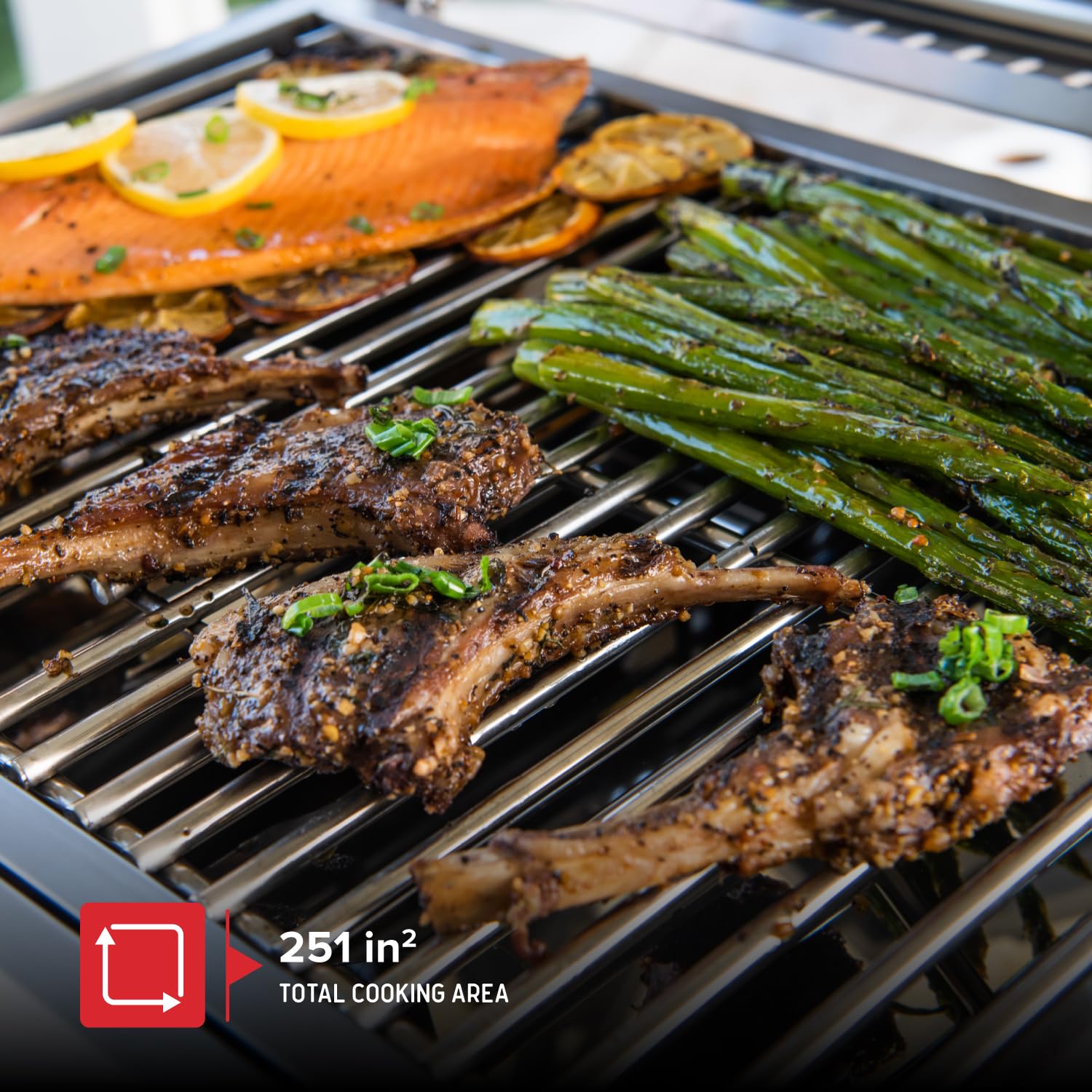 Nexgrill 2-Burner Portable Gas Grill - Stainless Steel, 20,000 BTU, 251 Sq In Cooking Space with Locking Lid & Folding Legs - Perfect for Camping, Backyard BBQs, Tailgating, and Outdoor Cooking (Model 820-0007GE)