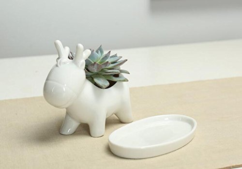 Adorable Deer Succulent Planter - Cute Animal Flower Pot for Home, Office Desk Decor | Perfect for Indoor Plants, Small Cacti & Desk Accessories