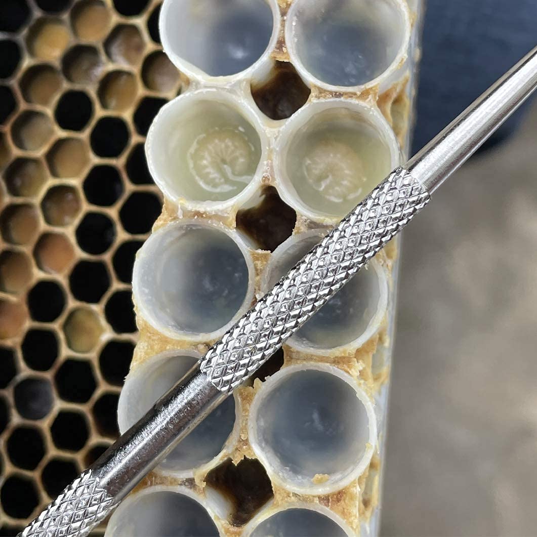 Stainless Steel Queen Bee Grafting Tools - 2PCS for Beekeeping & Larva Transplanting - Perfect for Hive Management