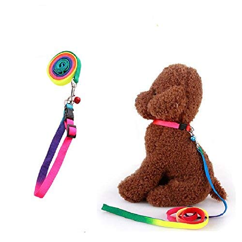 Rainbow Nylon Dog Collar & Leash Set for Puppies - Outdoor Walking