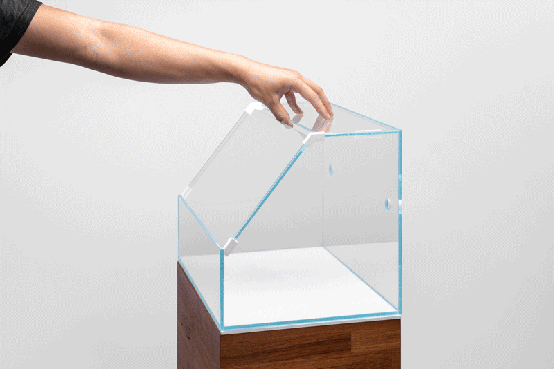 Premium UNS Paludarium Tank Enclosure Kit - Complete Terrarium Setup for Reptiles & Amphibians - Perfect for Vivarium, Bioactive Habitat & Planted Aquascaping Displays