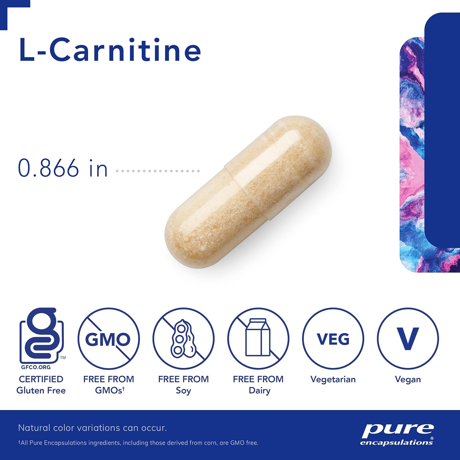 Pure Encapsulations L-Carnitine Supplement 500mg | Supports Energy Metabolism & Fat Burning | 60 Vegetarian Capsules | for Weight Management & Athletic Performance