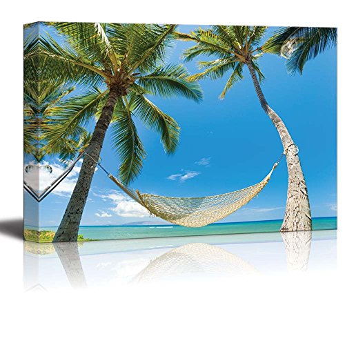 Tropical Palm Trees