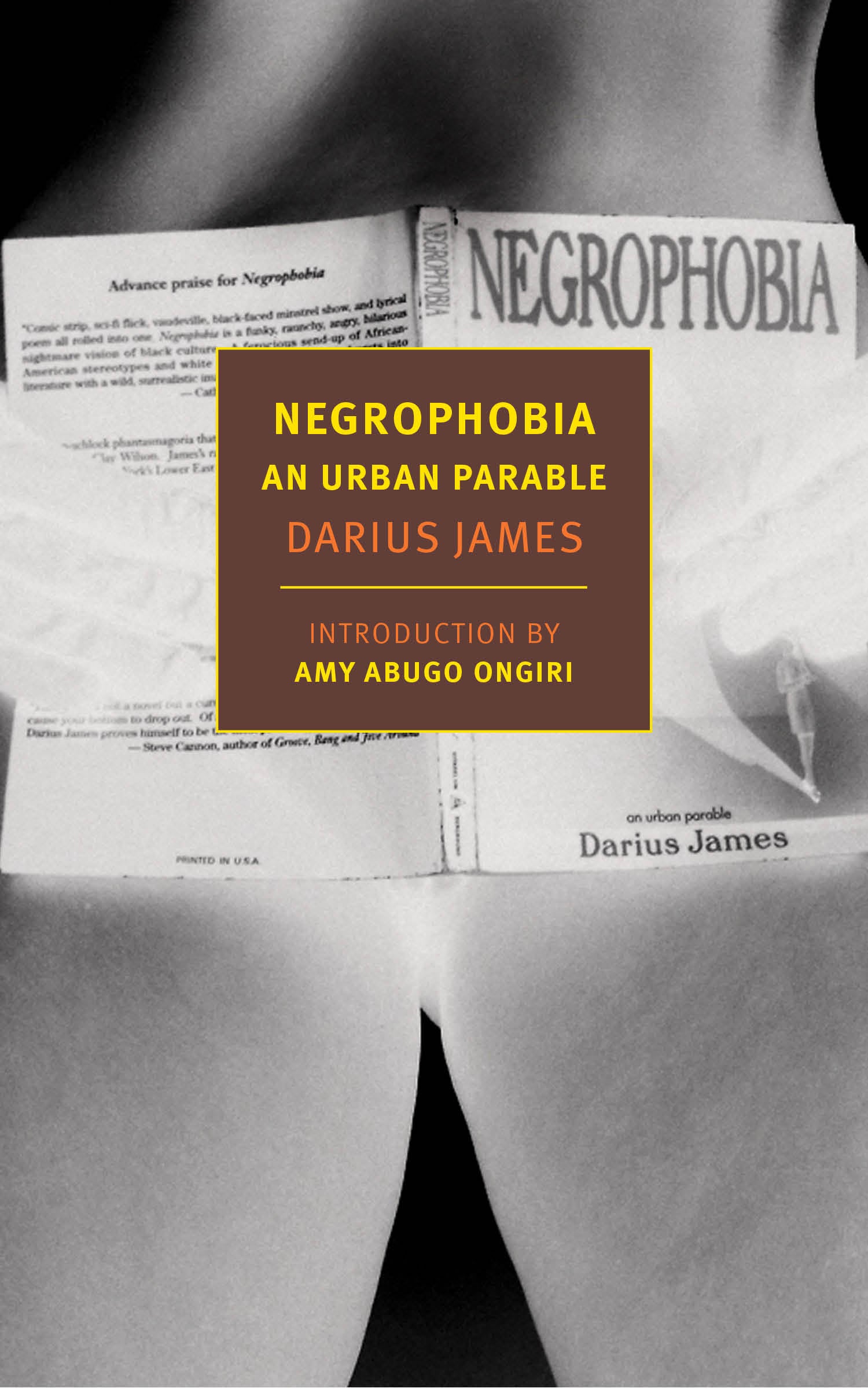 Negrophobia - Understanding and Overcoming Fear of Black People | Mental Health & Social Awareness Guide