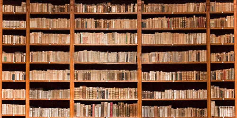 GladsBuy 20' x 10' Bookshelf Theme Photography Backdrop - High Resolution Computer Printed Book Background for Photo Studio, YouTube Videos & Book Lover Gifts (Model XLX-353)