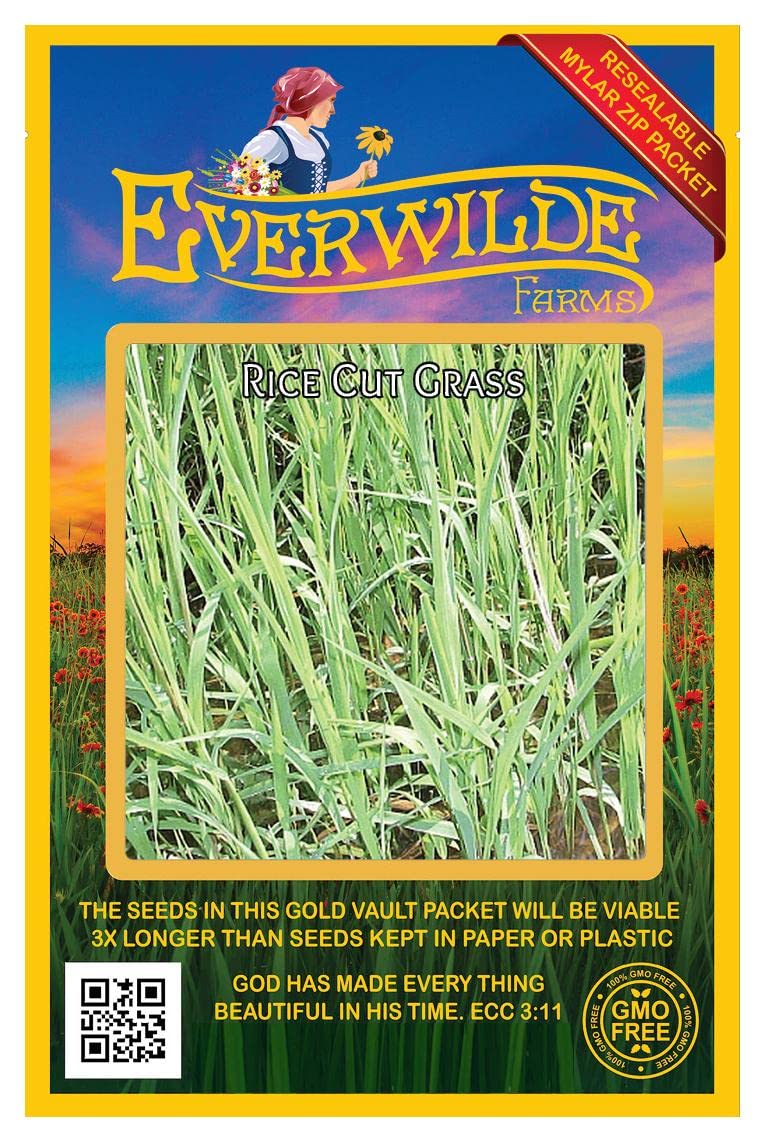 Everwilde Farms - 1000 Rice Cut Grass Native Grass Seeds (Echinochloa oryzoides) - Gold Vault Seed Packet for Landscaping, Erosion Control & Wildlife Habitats