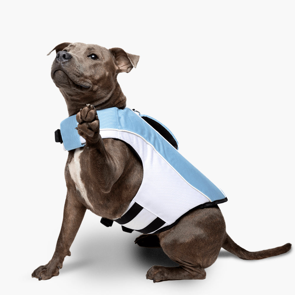 Dog Life Jacket for Swimming & Boating - Safe & Comfortable Dog Floatation Vest with Handle, Sky Blue - Perfect for Water Activities, Pool, Beach & Lakeside Adventures