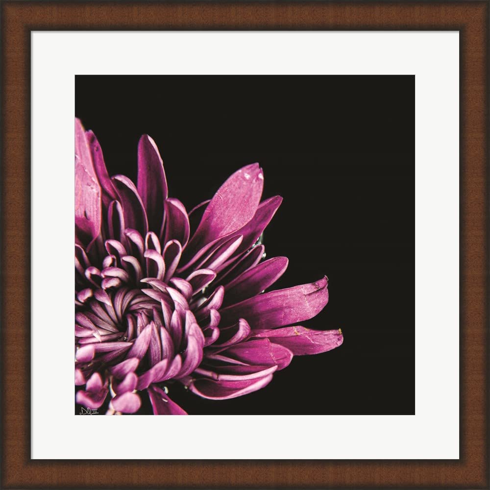 Love Intertwined I by Donnie Quillen - Framed Art Print in Brown Teak Wood, 20x20 Inches - Perfect for Living Room, Bedroom & Office Wall Decor