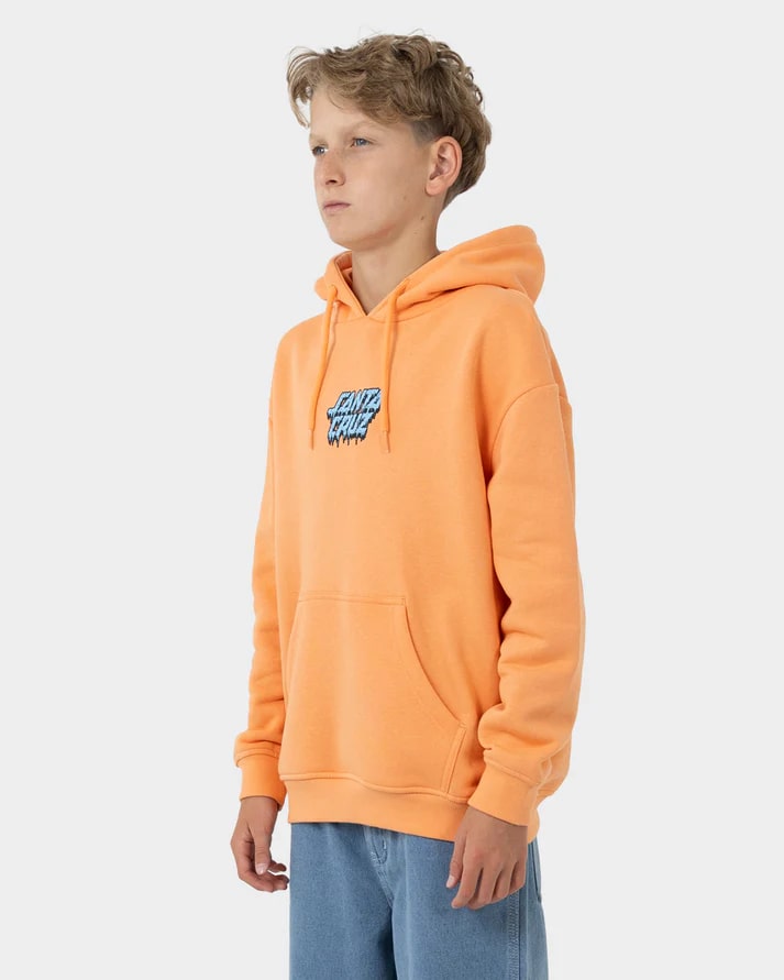 Santa Cruz SC Decaying Hand Graphic Boys Hoodie - Cool Streetwear for Skateboarding & Casual Wear