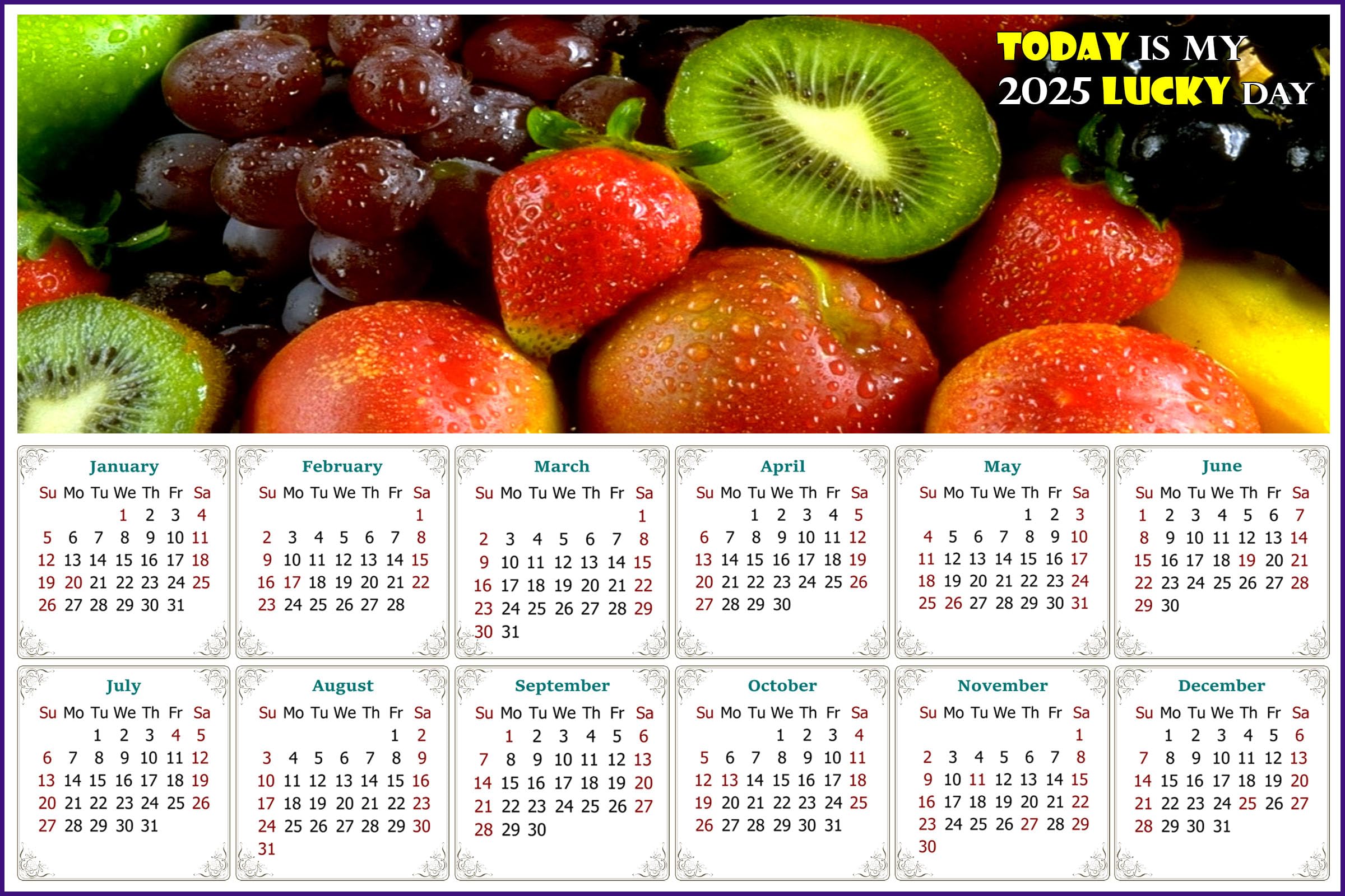 2025 Magnetic Calendar - Durable Fade, Tear & Water Resistant Calendar Magnets - 