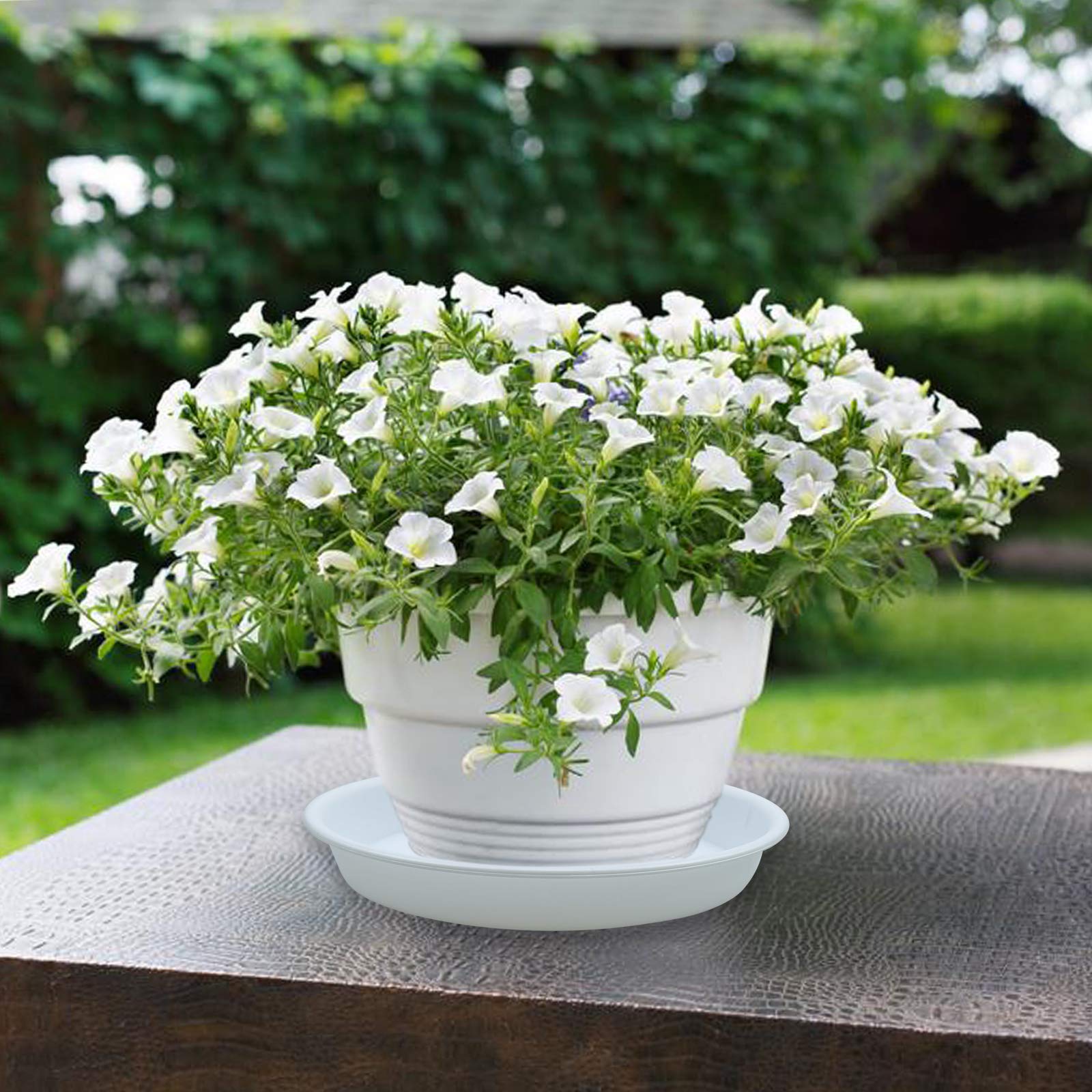 3 Pack Heavy Duty 16 Inch Plant Saucers - Sturdy Drip Trays for Indoor & Outdoor Plants (White) - Perfect for Pots, Planters & Garden Drainage Protection