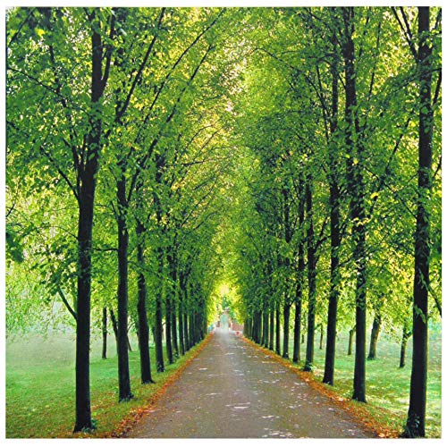 Path of Life