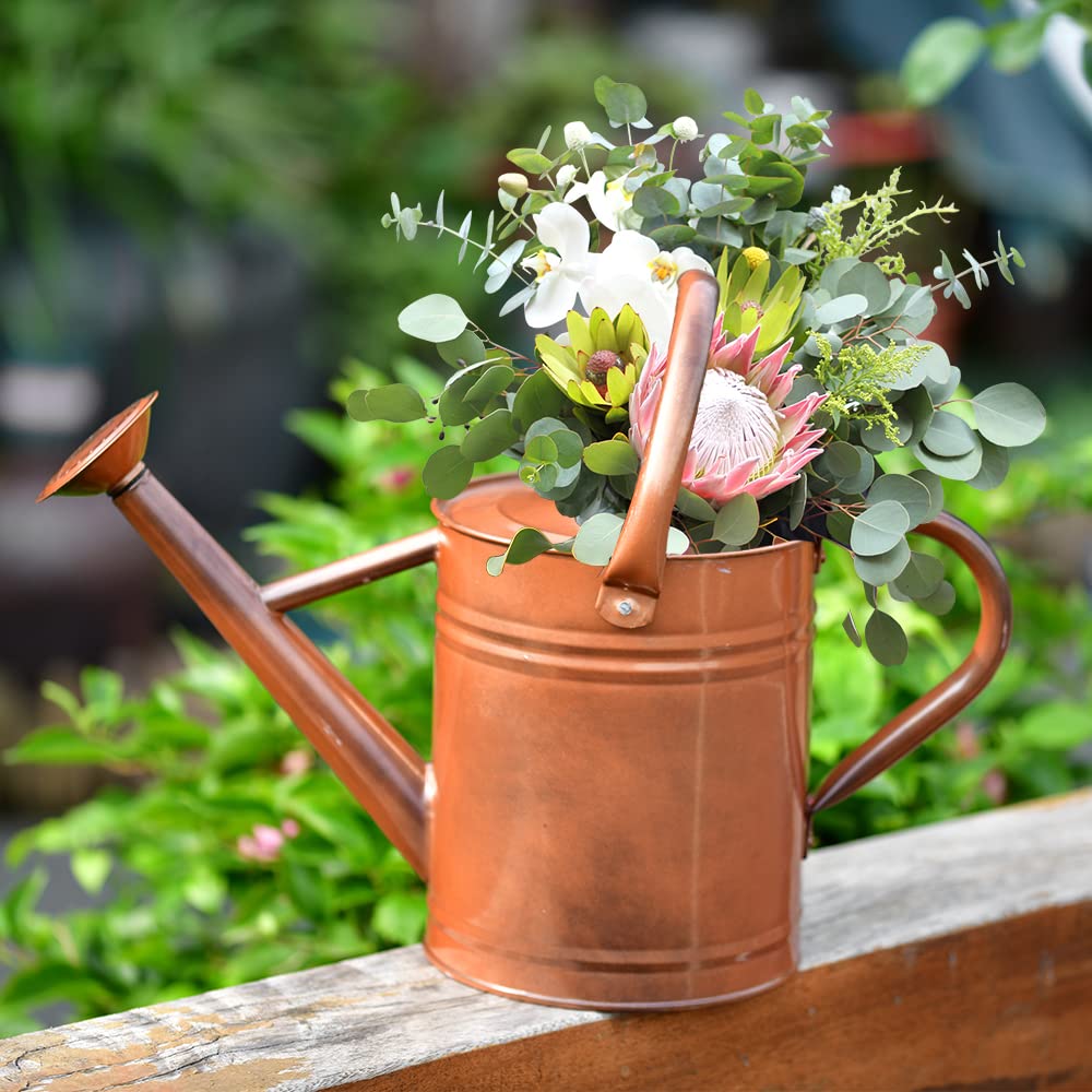 1 Gallon Metal Watering Can for Plants - Indoor & Outdoor Garden Watering Can with Rust-Resistant Copper Finish - Perfect for Houseplants, Flower Pots, and Garden Decor